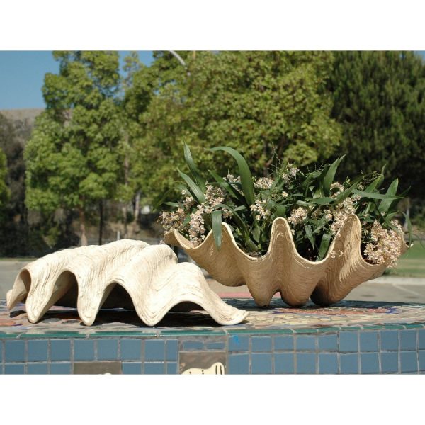 Clam Shell Inner Gardens Clam Shell