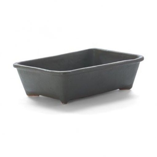 Rectangular Bonsai Dish