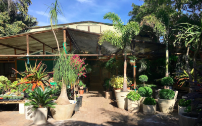 Now in Malibu, there’s more Inner Gardens to love