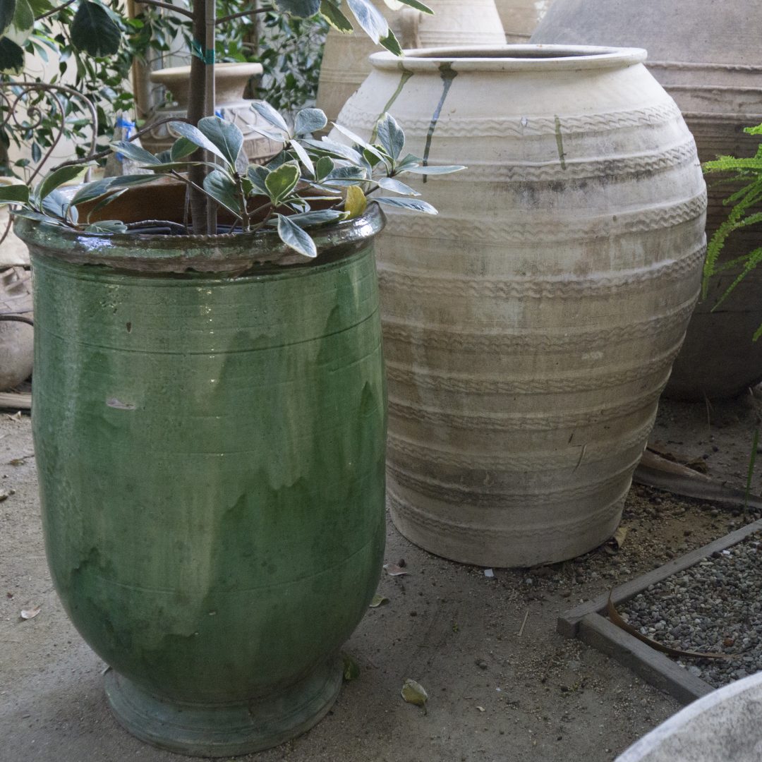 Antique Extra Large Spanish Ceramic Oil Jar Inner Gardens