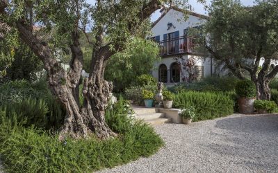 Add Character to Your Garden With Patina
