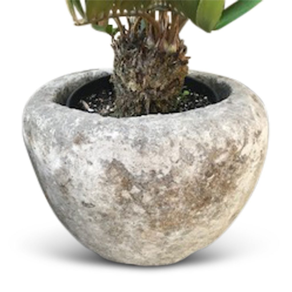 French Carved Limestone Planter Inner Gardens