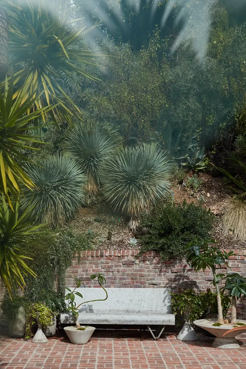 Garden bench in Ashley Tisdale's Hollywood Hills garden, amid landscaping designed by Inner Gardens.