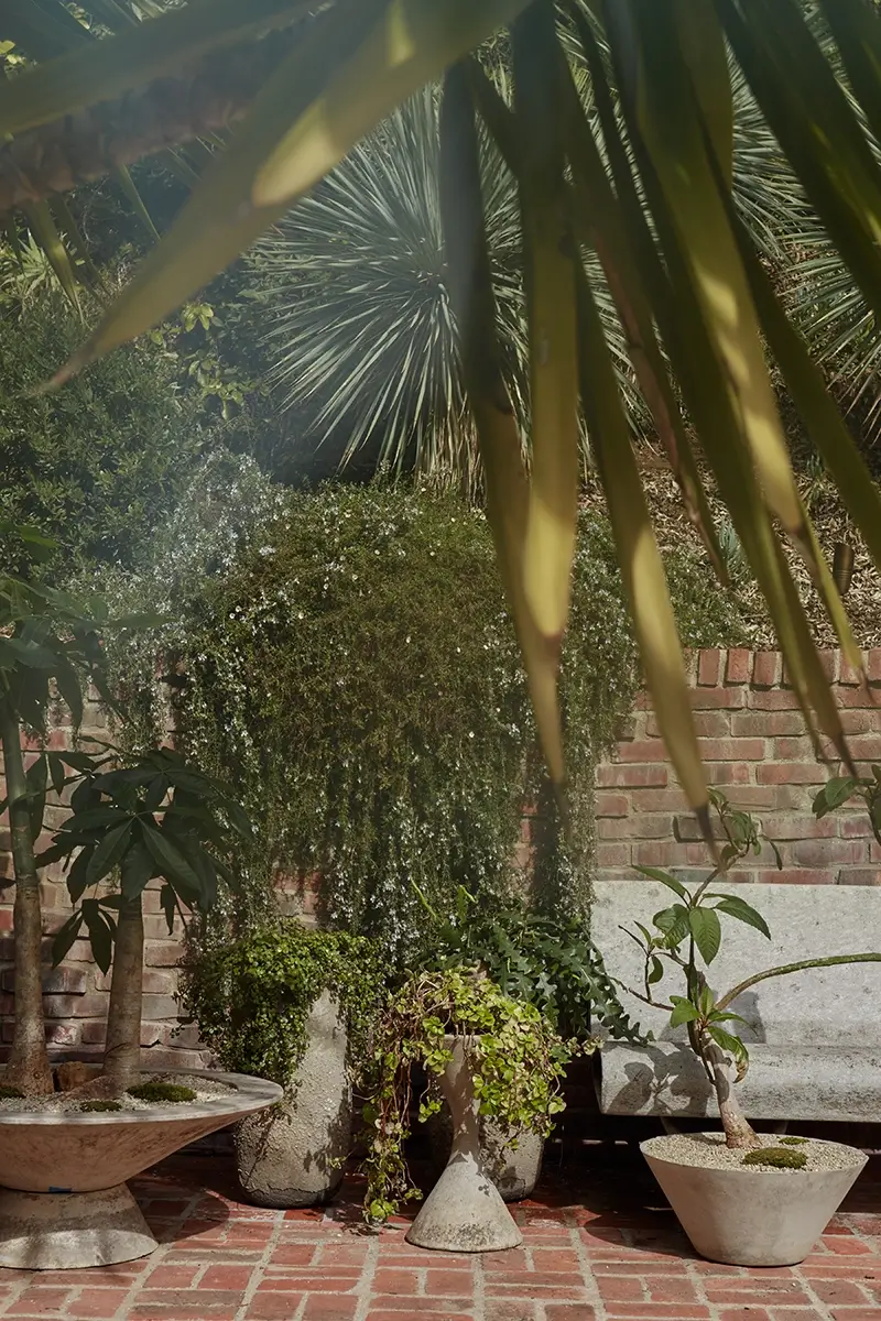 Potted plants in Willy Guhl planters, shown in Ashley Tisdale's Hollywood Hills garden, amid landscaping designed by Inner Gardens.